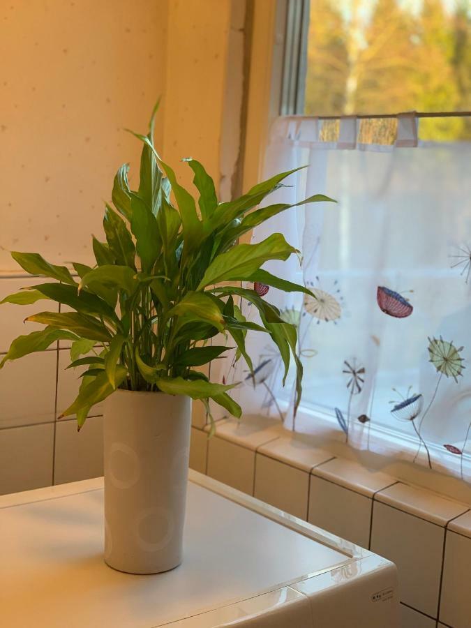 Cozy House In Kosta Center Surrounding With Swedish Nature Εξωτερικό φωτογραφία